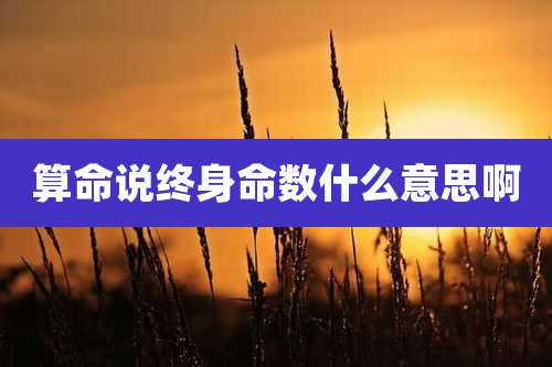 算命说终身命数什么意思啊