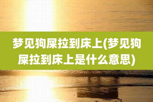 梦见狗屎拉到床上(梦见狗屎拉到床上是什么意思)