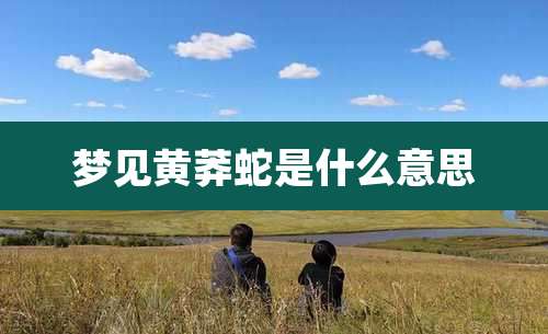 梦见黄莽蛇是什么意思