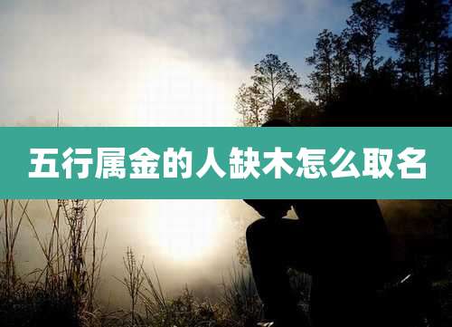 五行属金的人缺木怎么取名