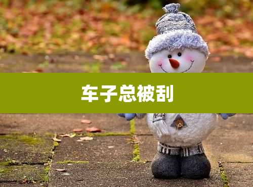 车子总被刮