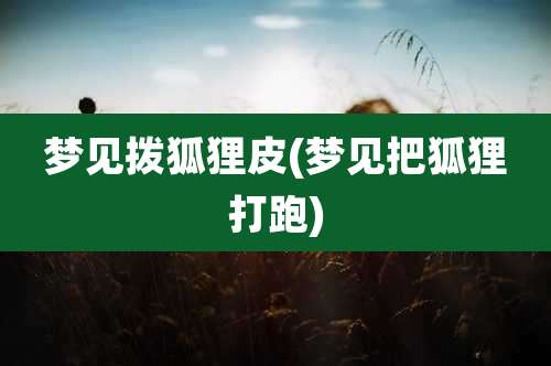 梦见拨狐狸皮(梦见把狐狸打跑)