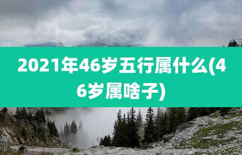 2021年46岁五行属什么(46岁属啥子)