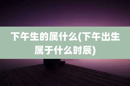 下午生的属什么(下午出生属于什么时辰)