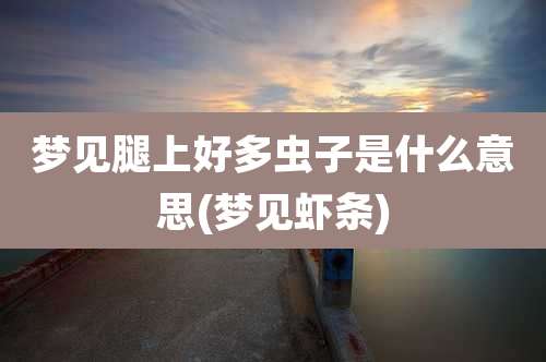 梦见腿上好多虫子是什么意思(梦见虾条)