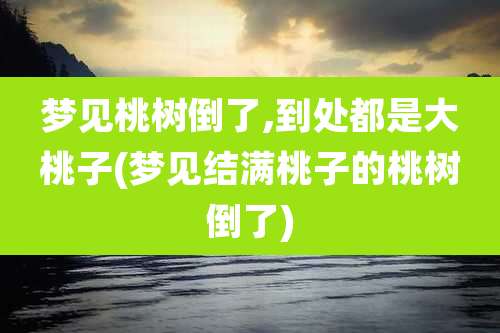 梦见桃树倒了,到处都是大桃子(梦见结满桃子的桃树倒了)