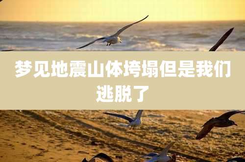 梦见地震山体垮塌但是我们逃脱了