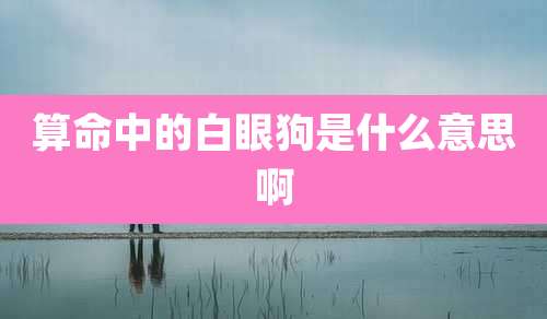 算命中的白眼狗是什么意思啊
