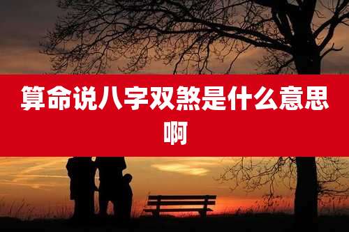 算命说八字双煞是什么意思啊