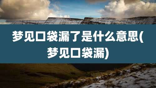梦见口袋漏了是什么意思(梦见口袋漏)