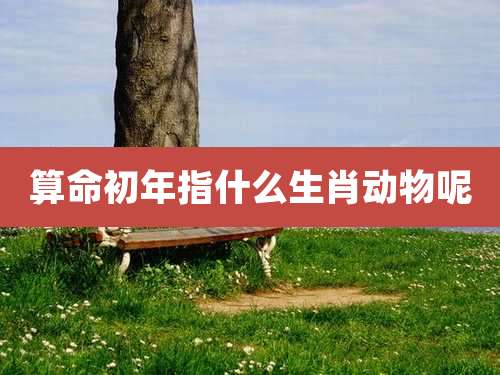 算命初年指什么生肖动物呢