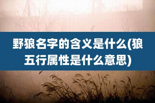 野狼名字的含义是什么(狼五行属性是什么意思)
