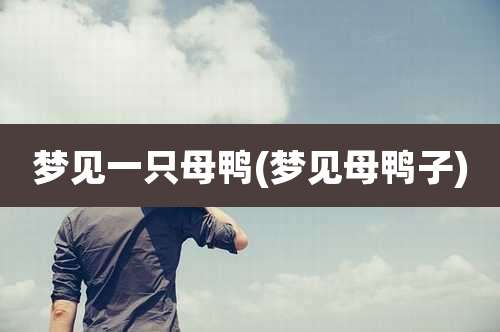 梦见一只母鸭(梦见母鸭子)