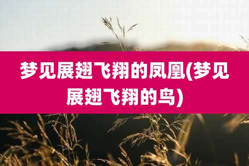 梦见展翅飞翔的凤凰(梦见展翅飞翔的鸟)