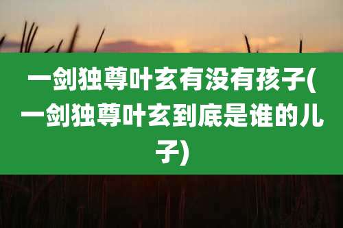 一剑独尊叶玄有没有孩子(一剑独尊叶玄到底是谁的儿子)