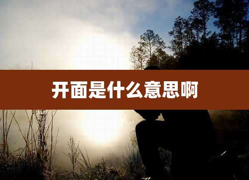开面是什么意思啊