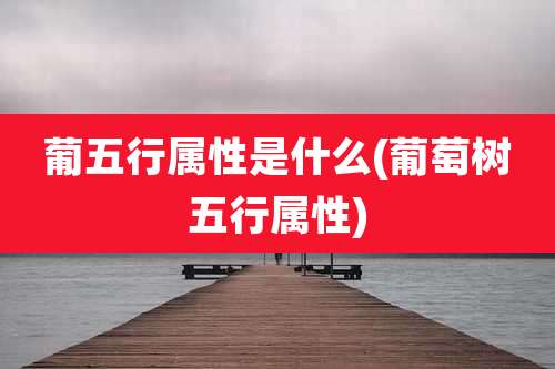 葡五行属性是什么(葡萄树五行属性)