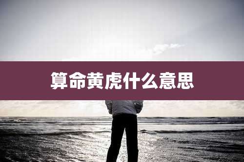 算命黄虎什么意思