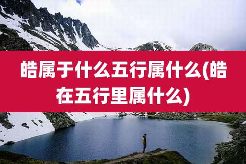 皓属于什么五行属什么(皓在五行里属什么)