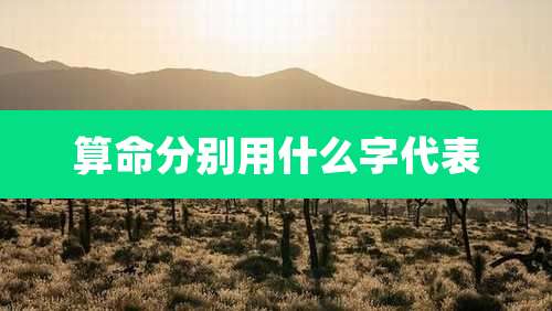 算命分别用什么字代表