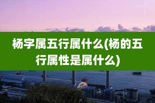 杨字属五行属什么(杨的五行属性是属什么)