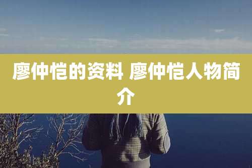 廖仲恺的资料 廖仲恺人物简介