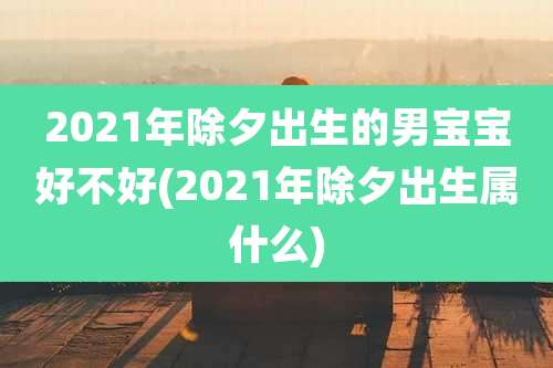 2021年除夕出生的男宝宝好不好(2021年除夕出生属什么)