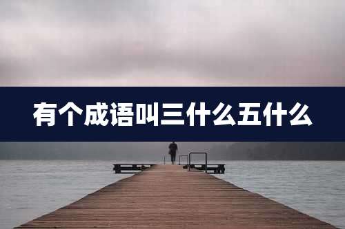 有个成语叫三什么五什么