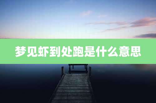 梦见虾到处跑是什么意思