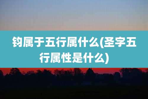 钧属于五行属什么(圣字五行属性是什么)