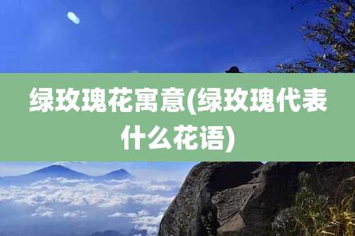 绿玫瑰花寓意(绿玫瑰代表什么花语)