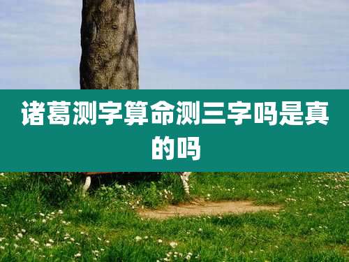 诸葛测字算命测三字吗是真的吗