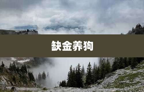 缺金养狗