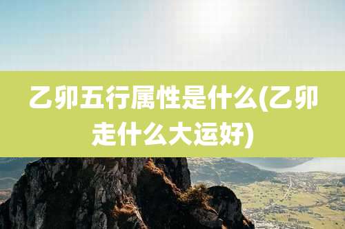 乙卯五行属性是什么(乙卯走什么大运好)