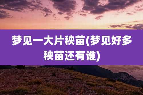 梦见一大片秧苗(梦见好多秧苗还有谁)