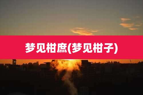 梦见柑庶(梦见柑子)