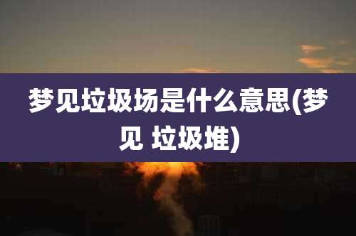 梦见垃圾场是什么意思(梦见 垃圾堆)