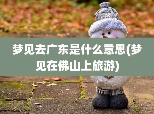 梦见去广东是什么意思(梦见在佛山上旅游)