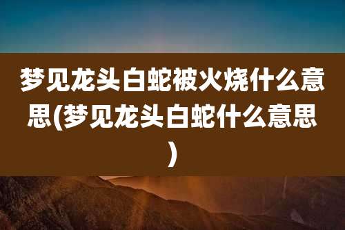 梦见龙头白蛇被火烧什么意思(梦见龙头白蛇什么意思)
