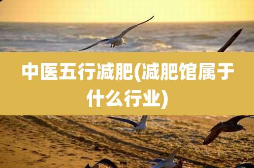 中医五行减肥(减肥馆属于什么行业)