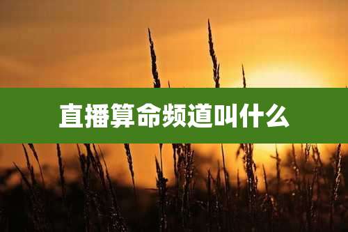 直播算命频道叫什么