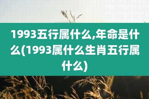 1993五行属什么,年命是什么(1993属什么生肖五行属什么)