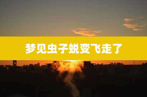 梦见虫子蜕变飞走了