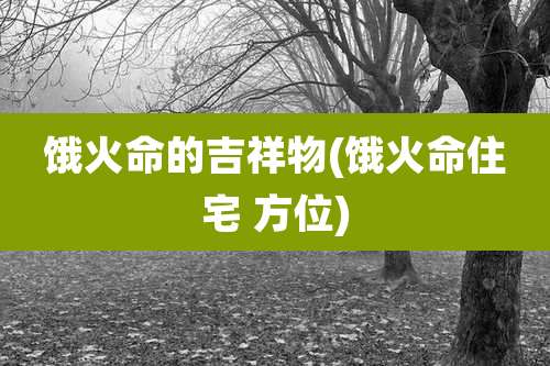 饿火命的吉祥物(饿火命住宅 方位)