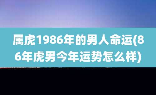 属虎1986年的男人命运(86年虎男今年运势怎么样)