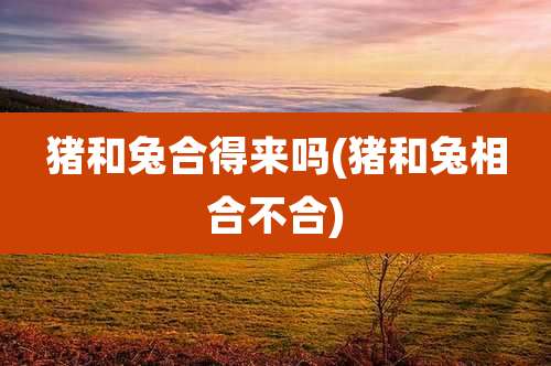 猪和兔合得来吗(猪和兔相合不合)