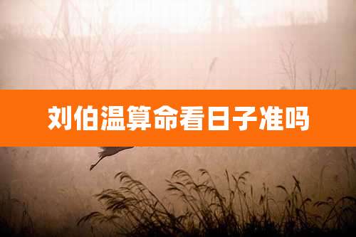 刘伯温算命看日子准吗