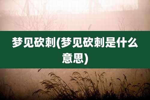 梦见砍刺(梦见砍刺是什么意思)