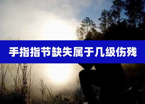 手指指节缺失属于几级伤残