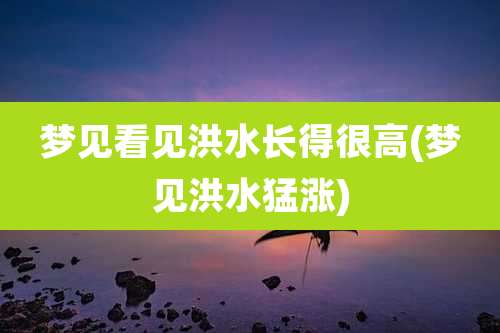 梦见看见洪水长得很高(梦见洪水猛涨)